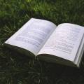 The Power of Gratitude in Transforming Daily Life